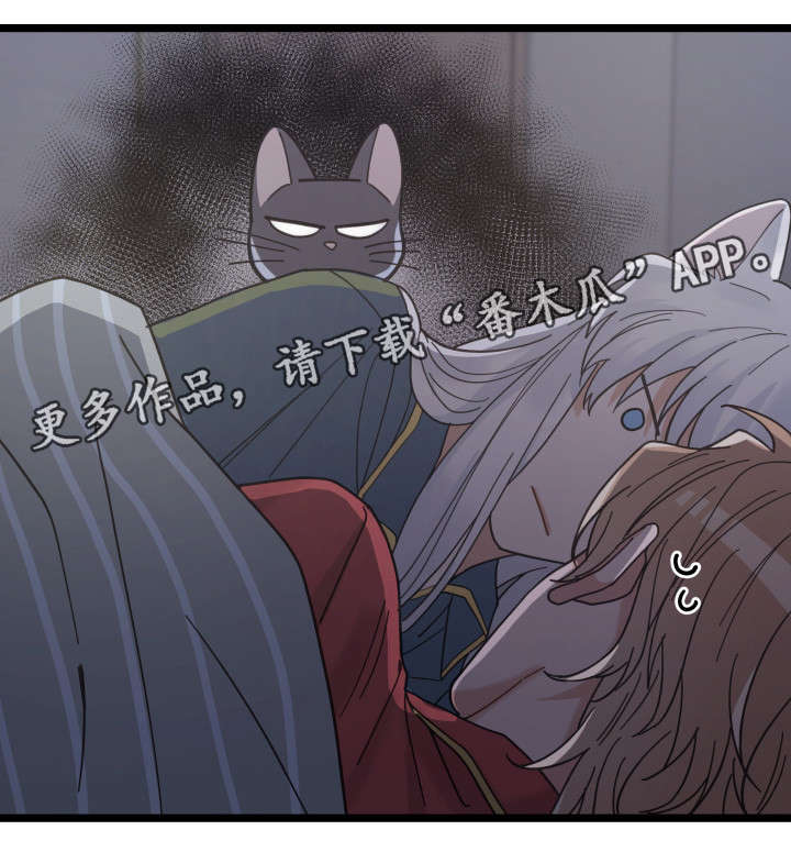 漫画名:亲爱的喵君漫画,第38章：打扰5图