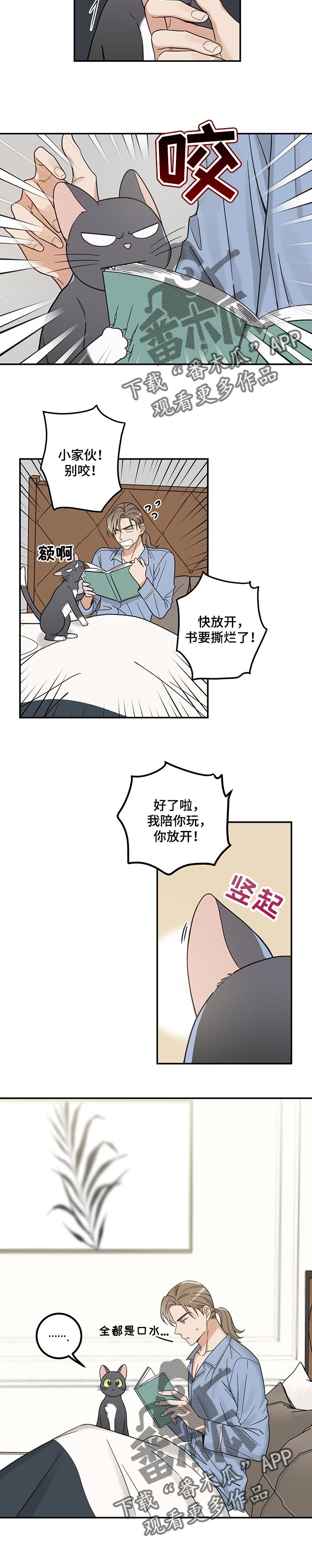 亲爱的喵君漫画免费阅读全集漫画,第98章：捣乱4图
