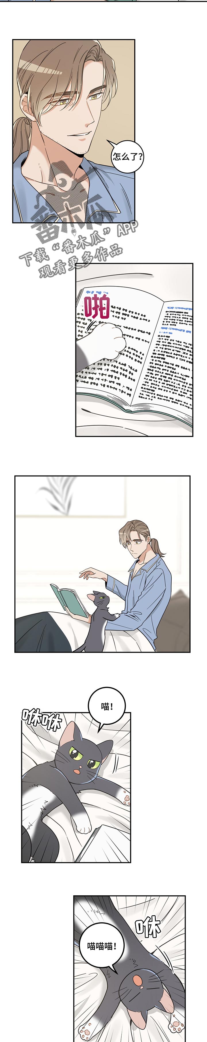 亲爱的喵君漫画免费阅读全集漫画,第98章：捣乱2图