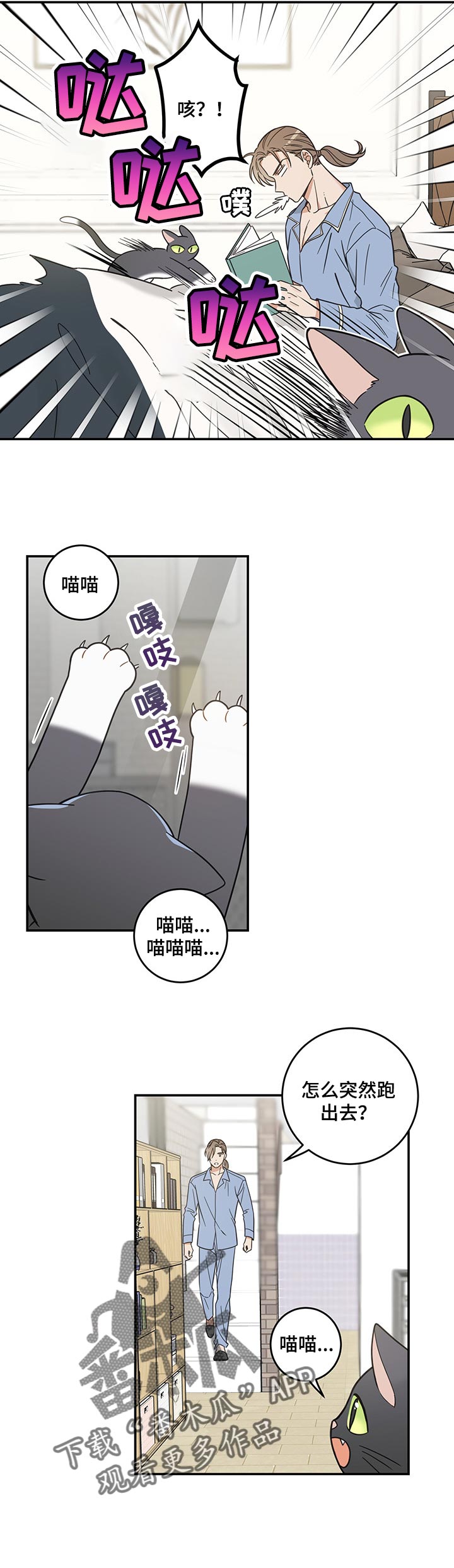 亲爱的喵君漫画免费阅读全集漫画,第98章：捣乱5图