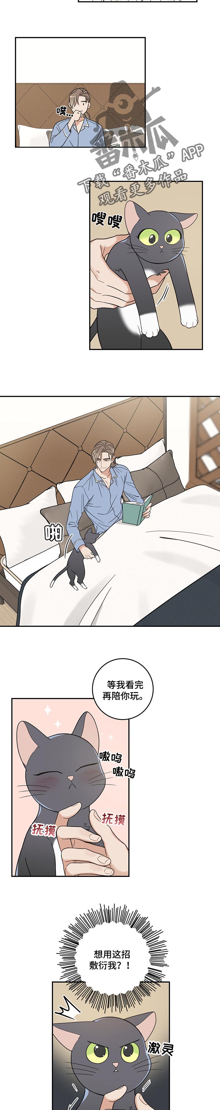 亲爱的喵君漫画免费阅读全集漫画,第98章：捣乱3图
