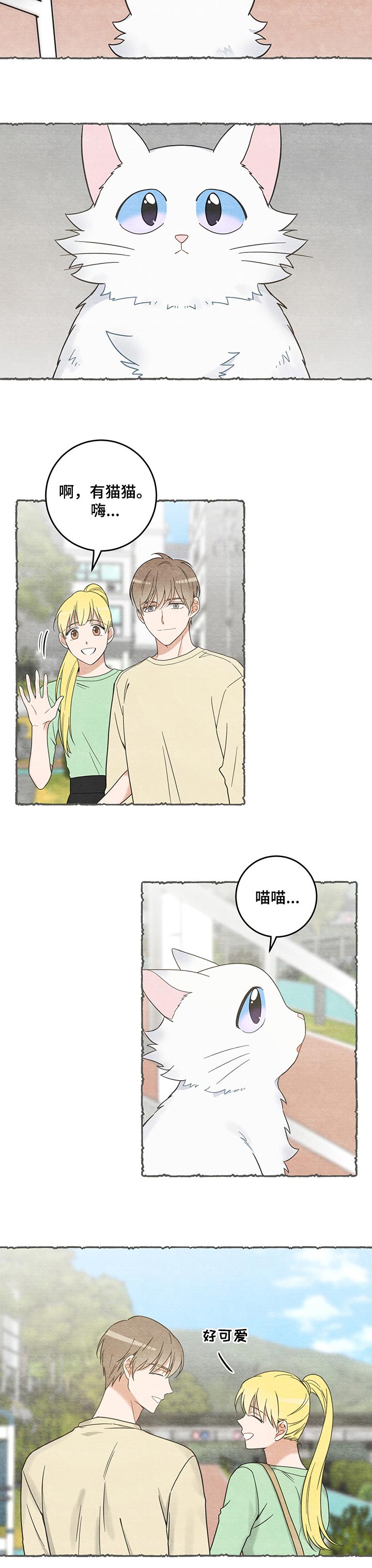 亲爱的喵先生弗朗明戈漫画,第101章：失踪了4图