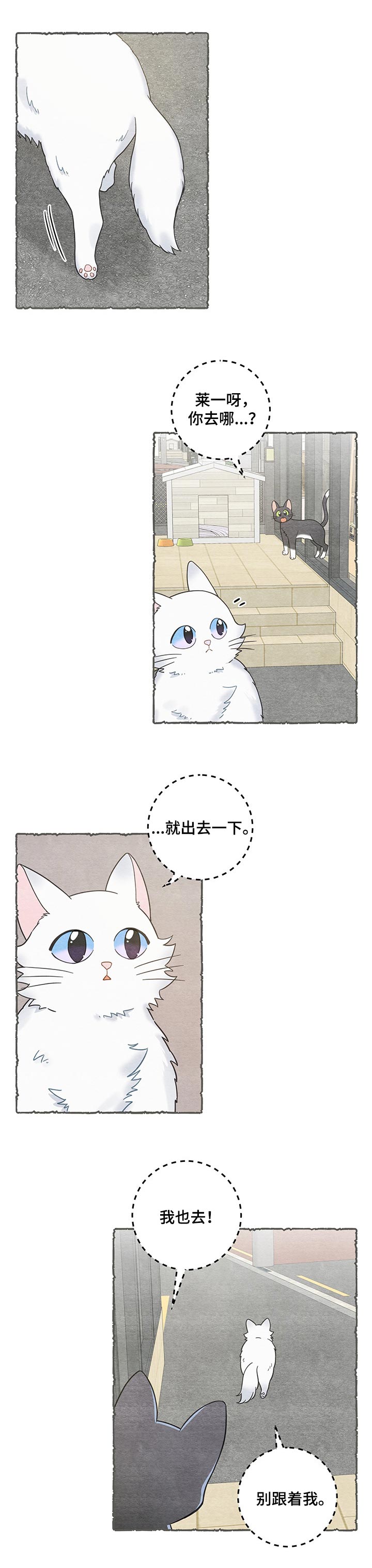 亲爱的喵先生弗朗明戈漫画,第101章：失踪了1图