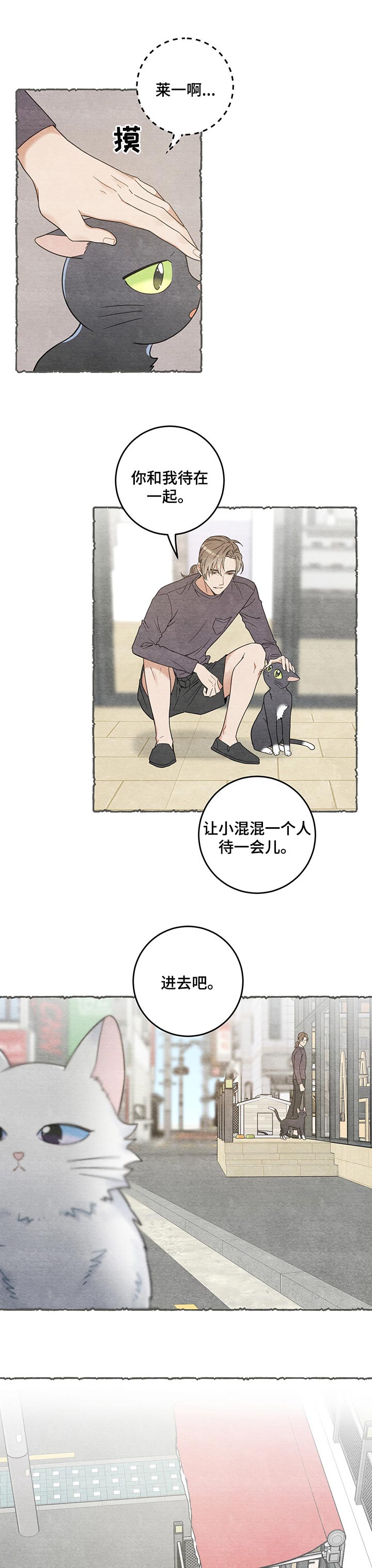 亲爱的喵先生弗朗明戈漫画,第101章：失踪了2图
