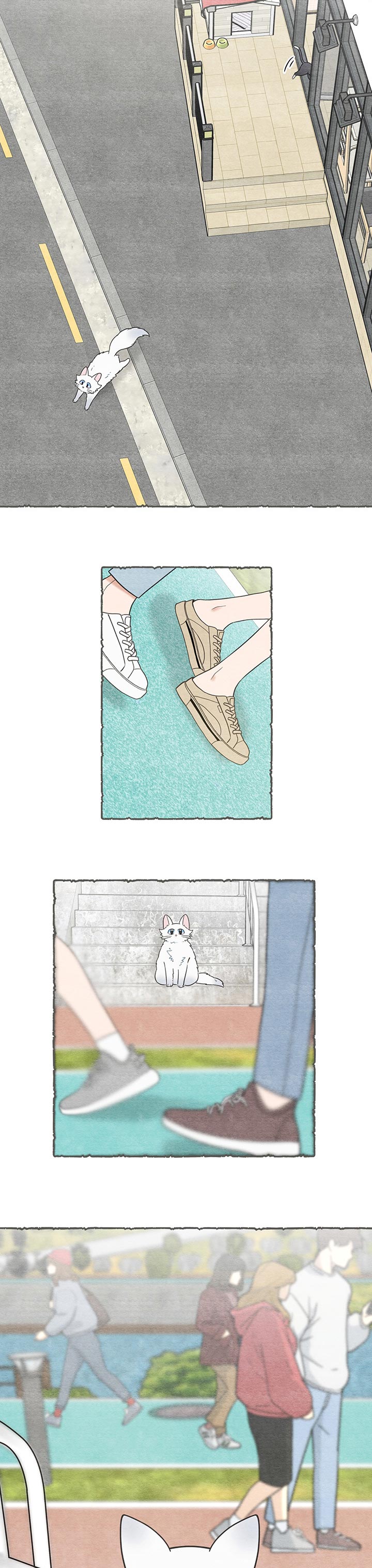 亲爱的喵先生弗朗明戈漫画,第101章：失踪了3图