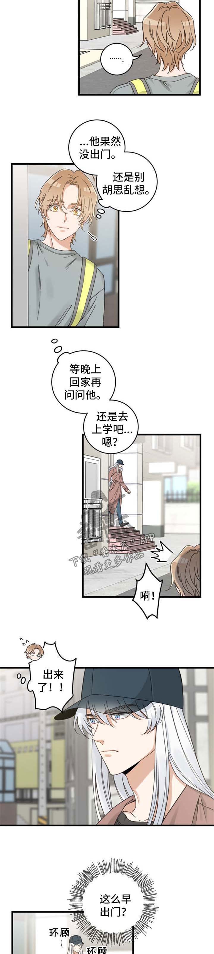 亲爱的喵君漫画,第95章：跟踪4图