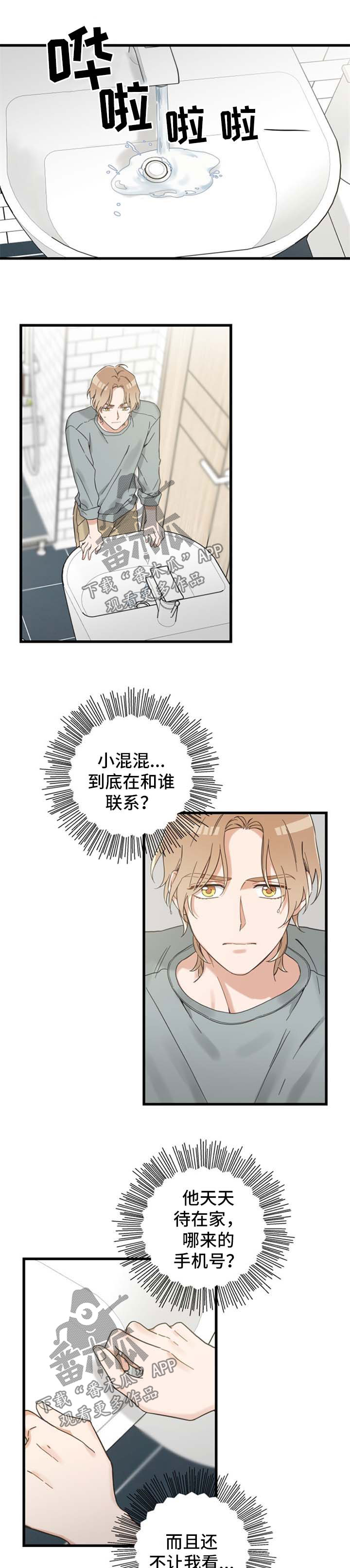 亲爱的喵君漫画,第95章：跟踪1图