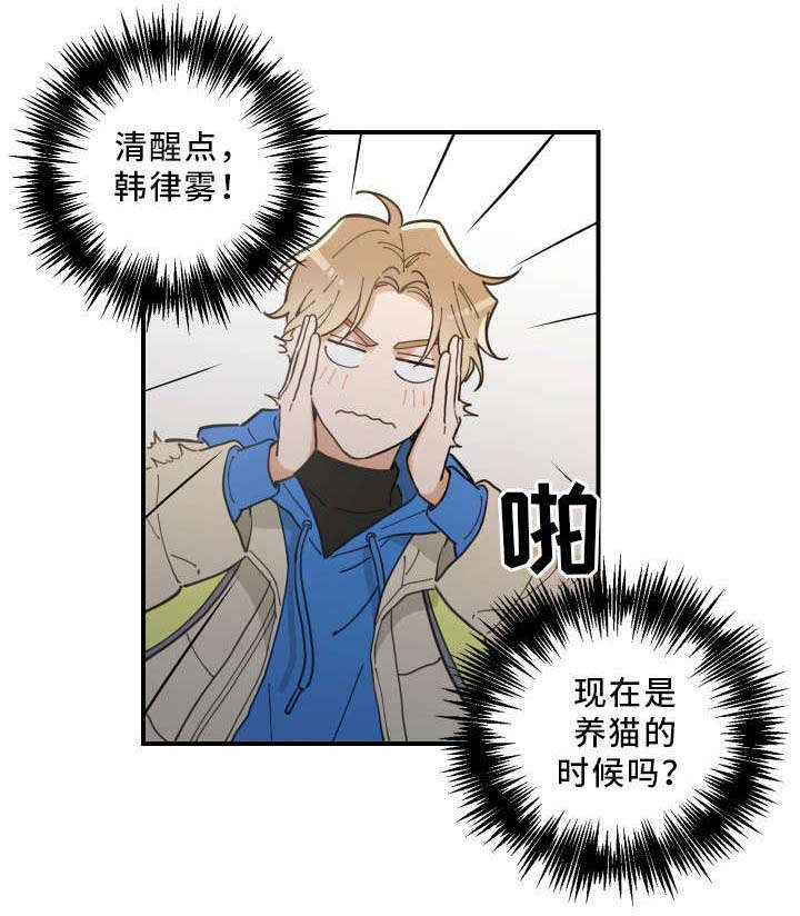 亲爱的喵君小说推文漫画,第2章：白猫2图