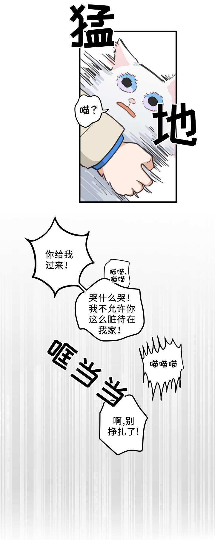 亲爱的喵君小说推文漫画,第2章：白猫5图