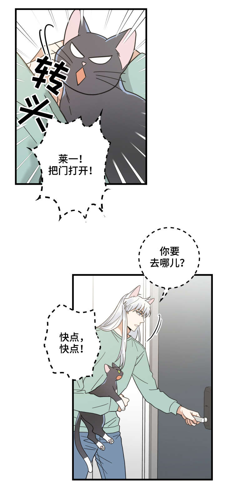 亲爱的漫画,第43章：叔叔1图