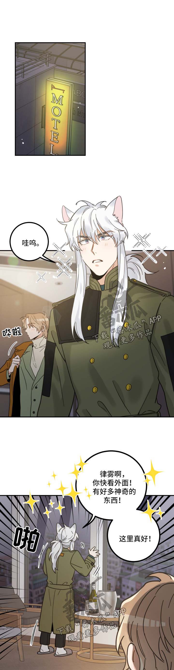 亲爱的喵先生漫画,第49章：酒店3图