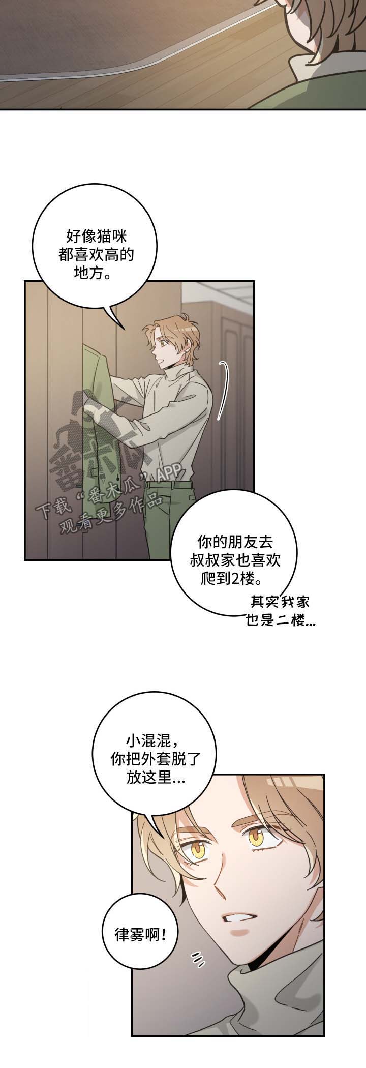 亲爱的喵先生漫画,第49章：酒店4图