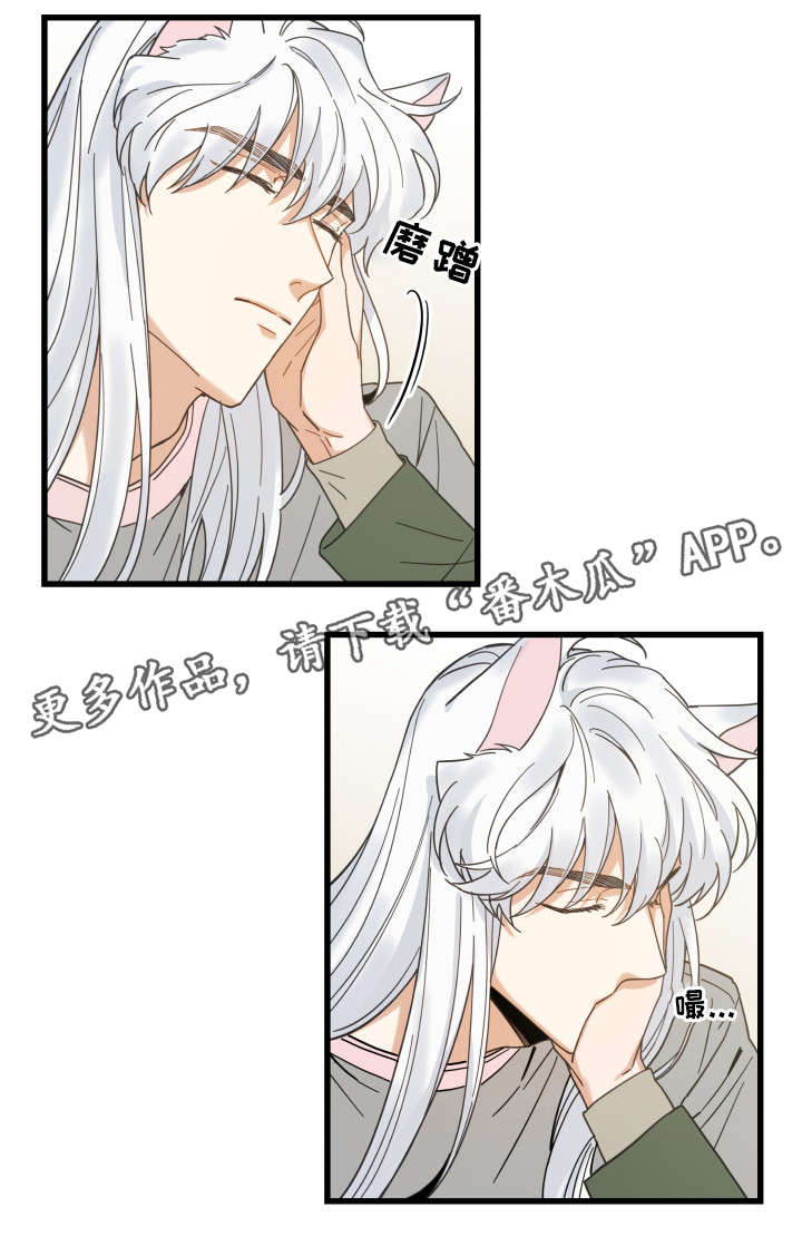 亲爱的喵君漫画免费阅读唧唧漫画漫画,第31章：黑猫2图