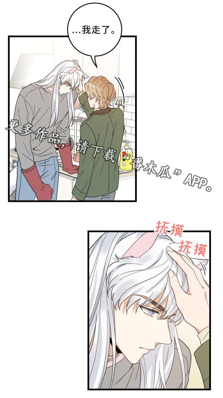 亲爱的喵君漫画免费阅读唧唧漫画漫画,第31章：黑猫1图