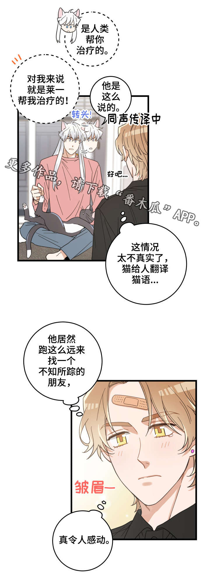 亲爱的爸妈漫画,第37章：试探3图