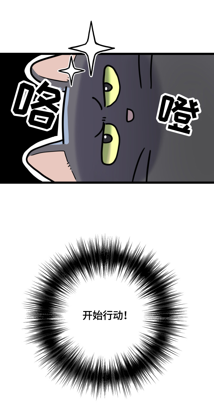 亲爱的喵君漫画,第57章：引出5图