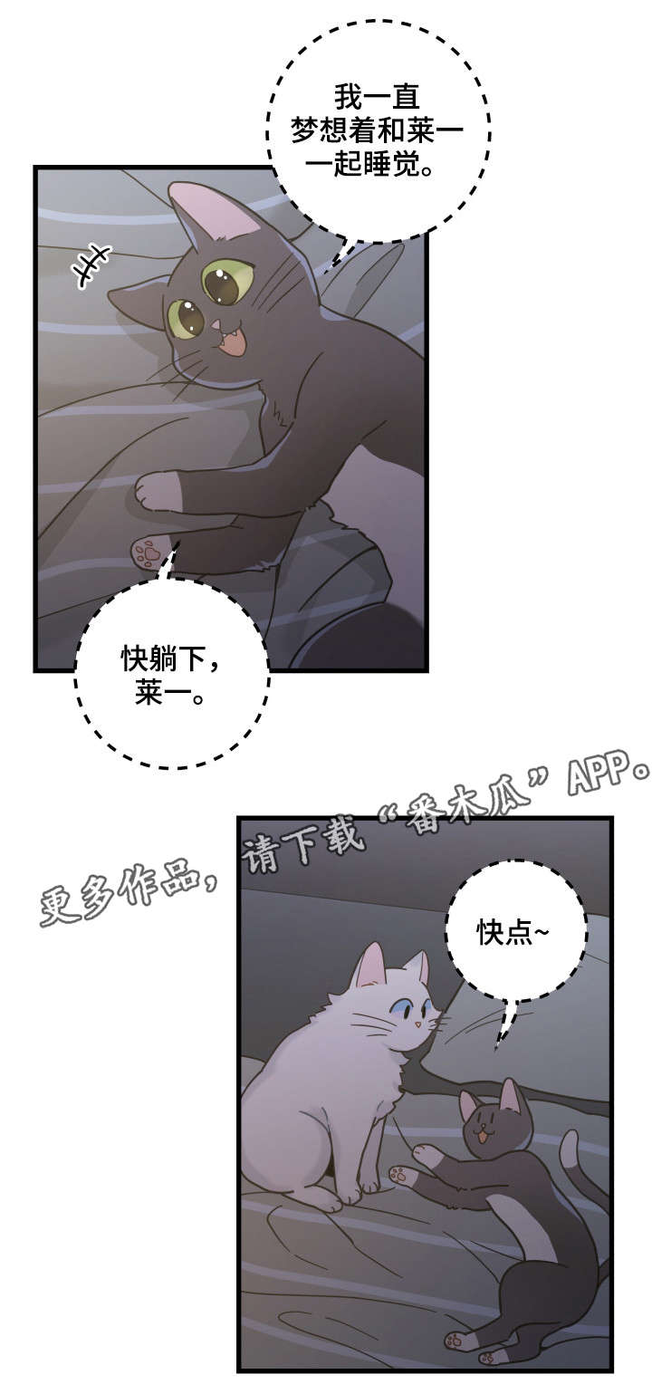 亲爱的喵君哪里可以看漫画,第39章：你别走5图
