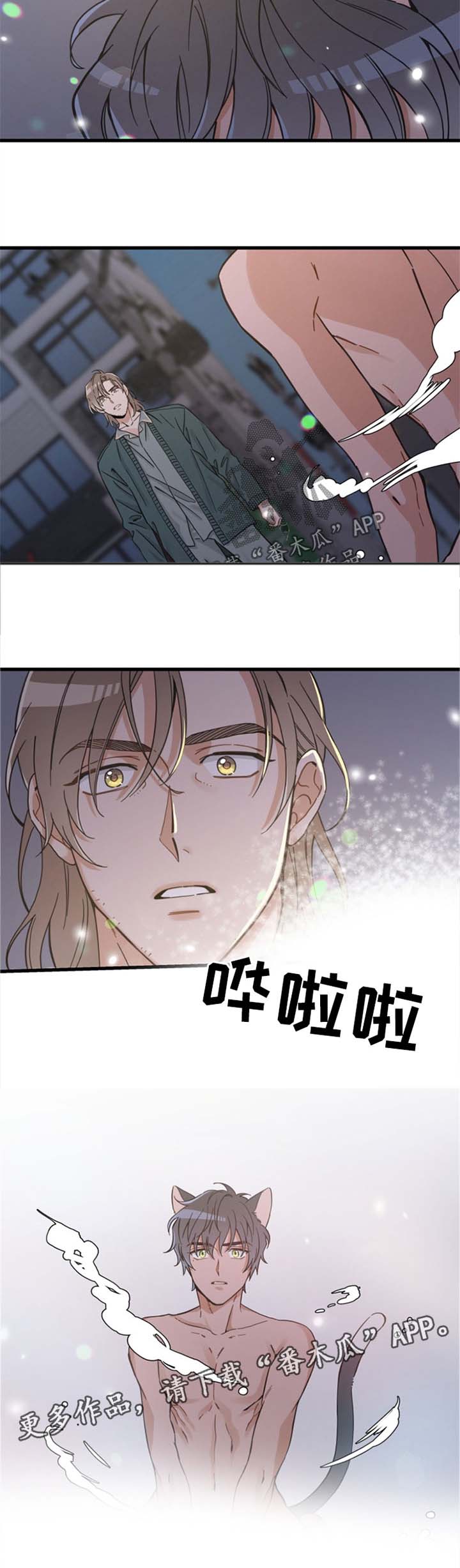 亲爱的喵君漫画免费阅读唧唧漫画漫画,第82章：变人2图