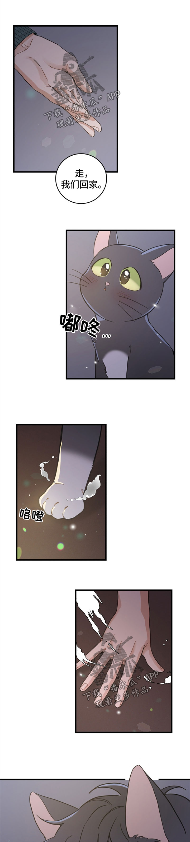 亲爱的喵君漫画免费阅读唧唧漫画漫画,第82章：变人1图