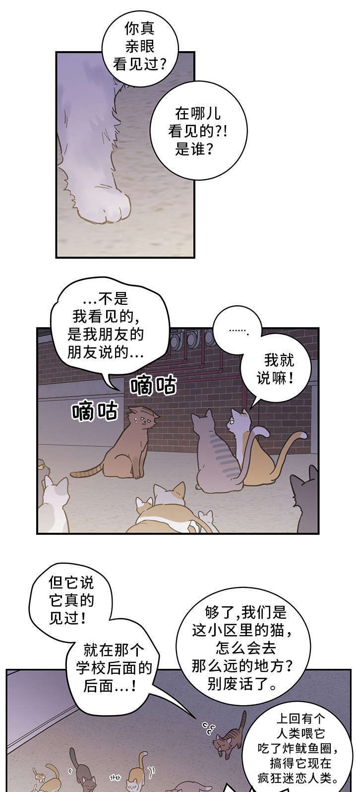 亲爱的喵君免费下拉式漫画,第1章：传说3图