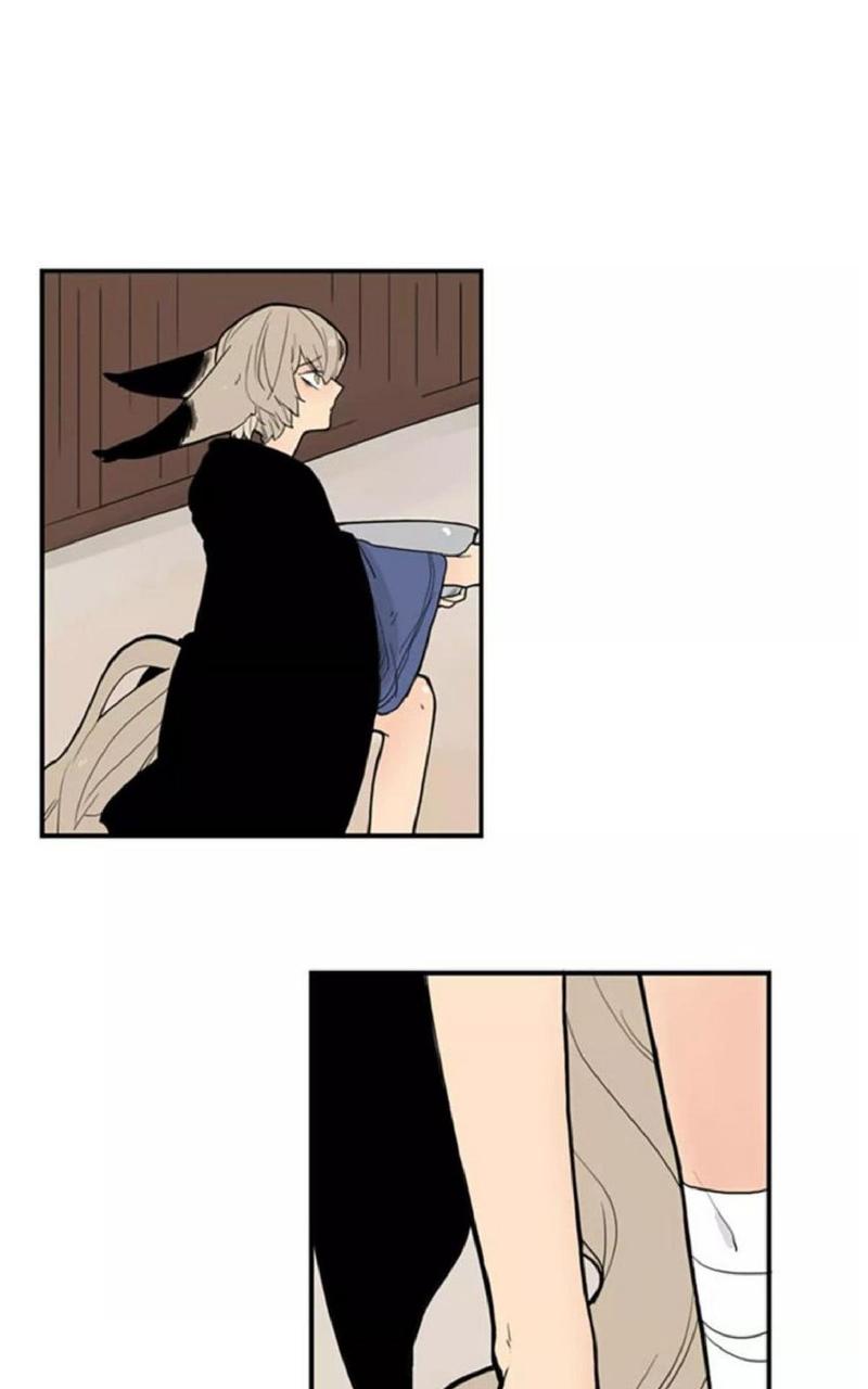 狐狸的枷锁结局漫画,第51话1图