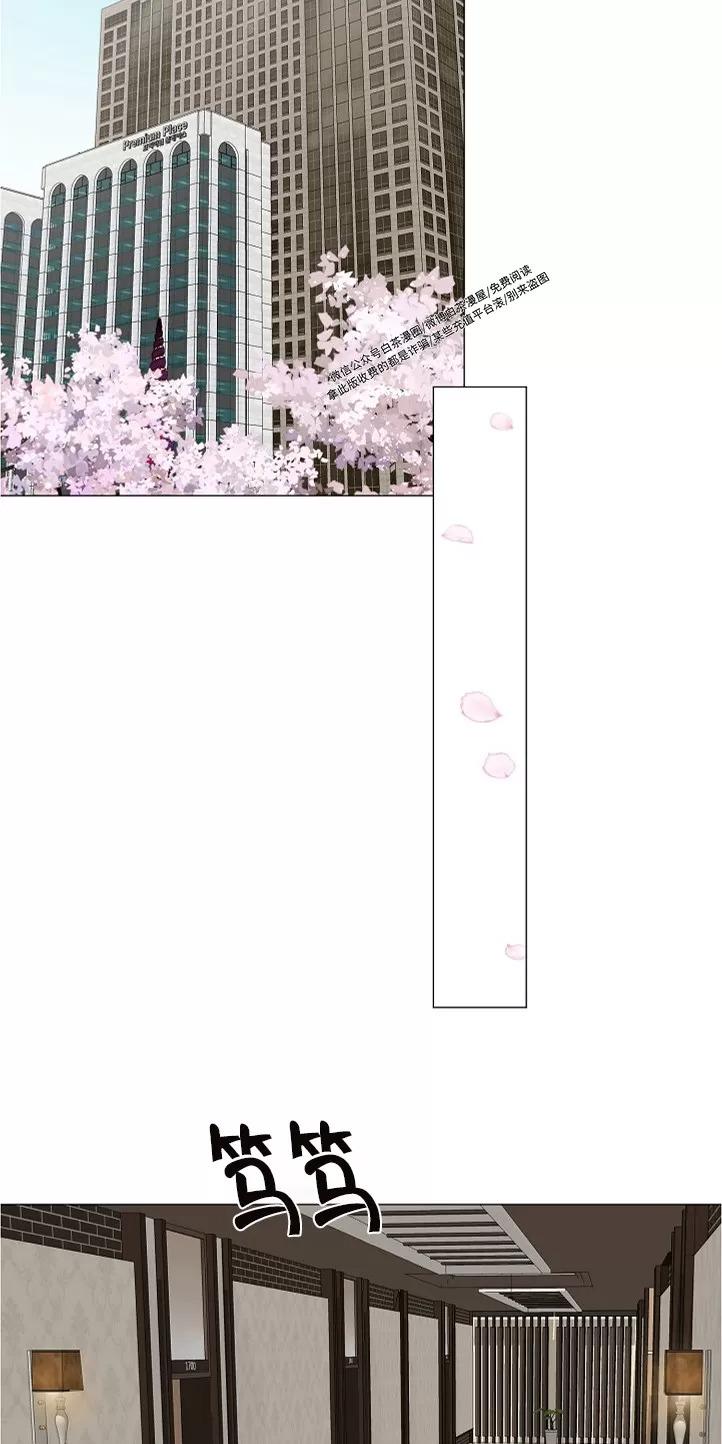 哥哥的前辈漫画,第11话5图