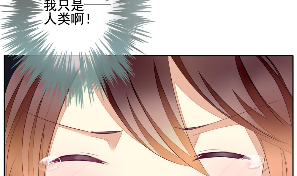 拂晓的花嫁漫画,第091话 血族新娘 84图