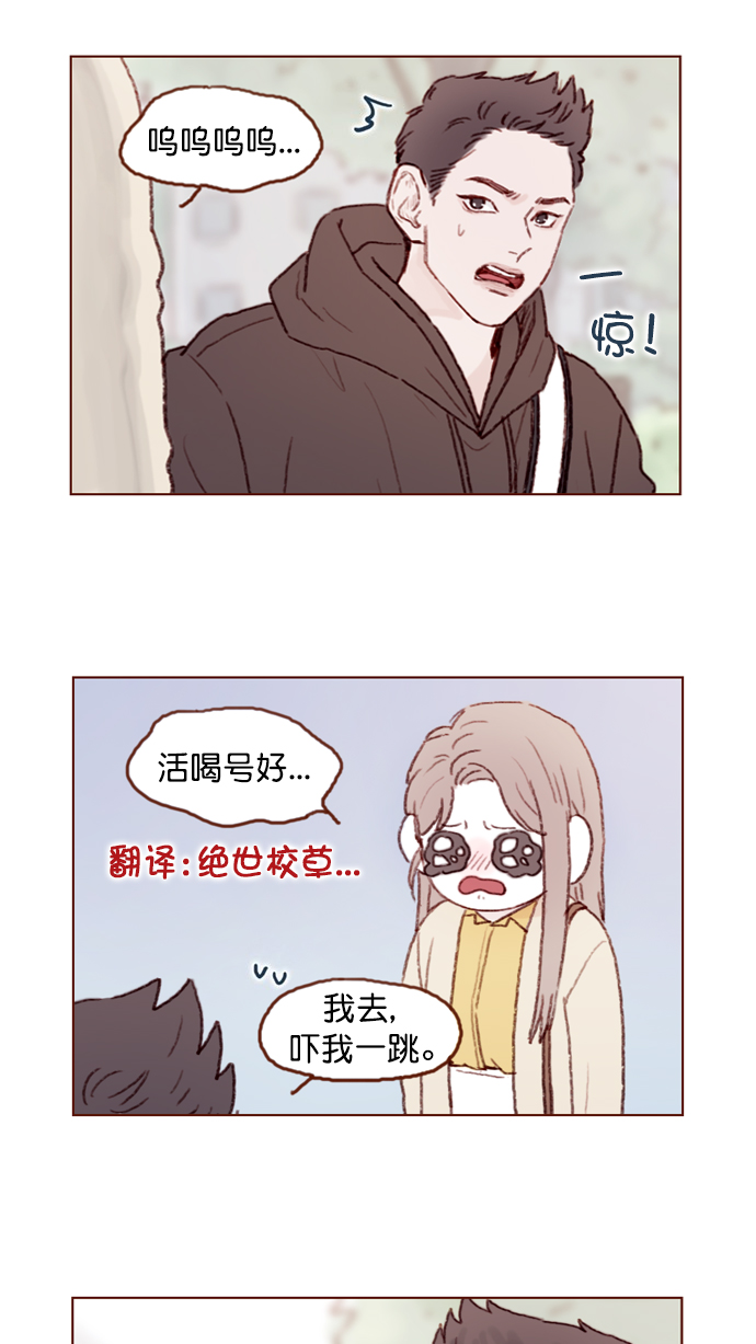 喜欢我的小柿子是男男吗漫画,[第75话] 忘记一个人最好的方法就是找一个人代替5图