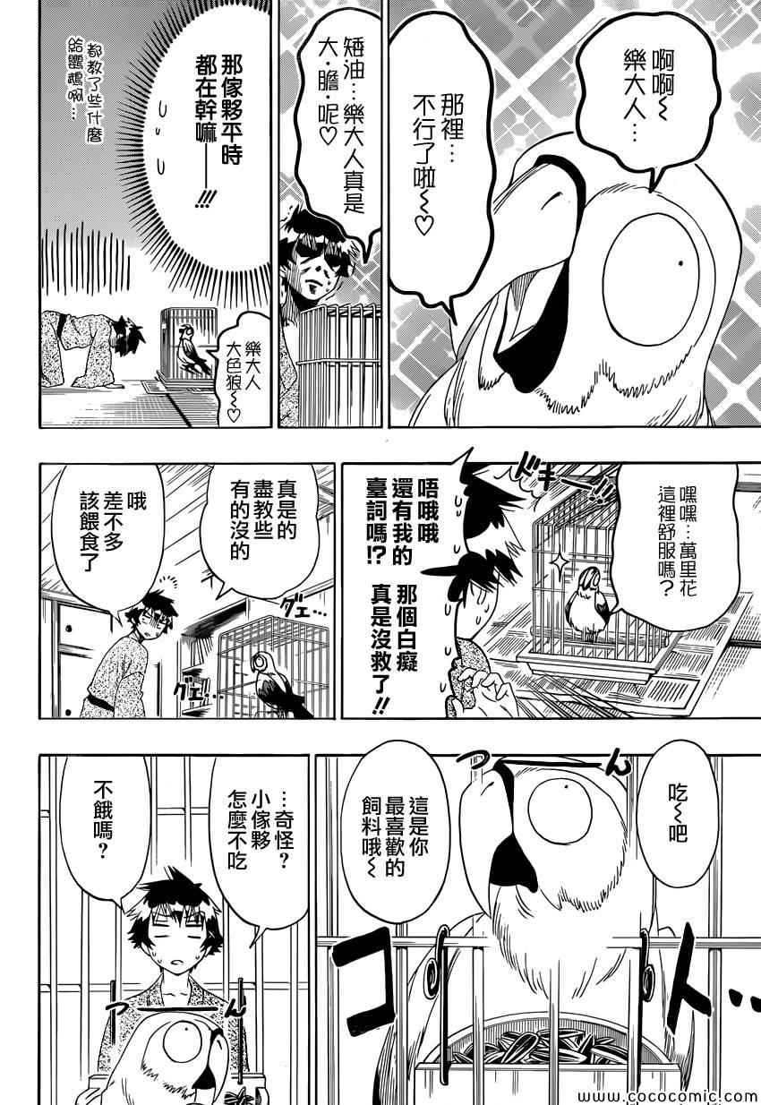 伪恋英文翻译漫画,第104话乐大人4图