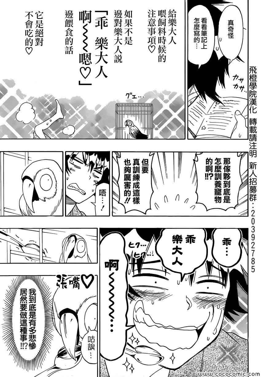 伪恋英文翻译漫画,第104话乐大人5图