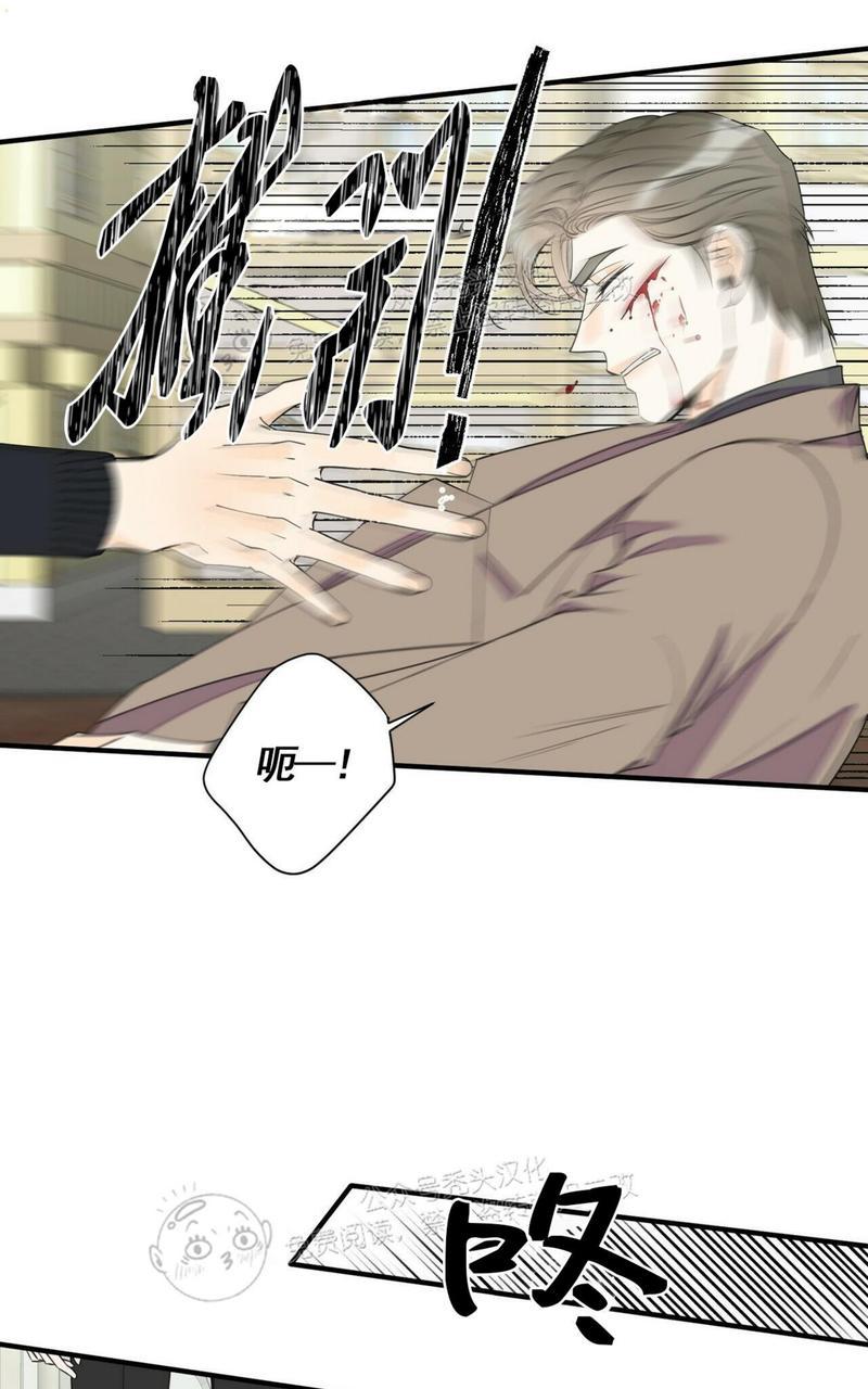 梦似回响歌曲完整版歌词漫画,第44话3图