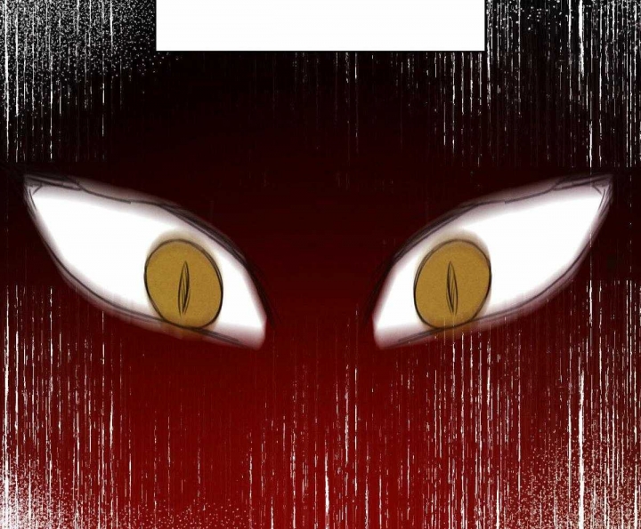 柳树浪漫史漫画,第73话1图