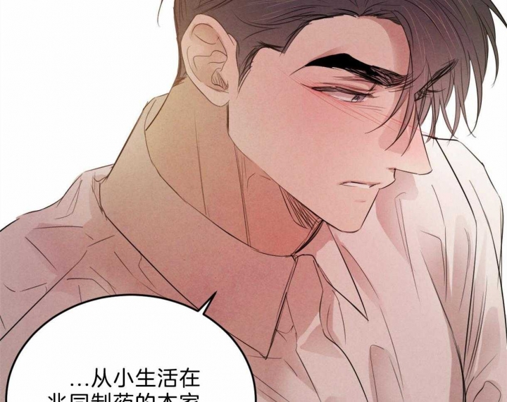 柳树浪漫史漫画,第83话5图