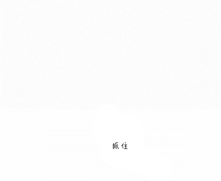 柳树浪漫史漫画,第63话5图