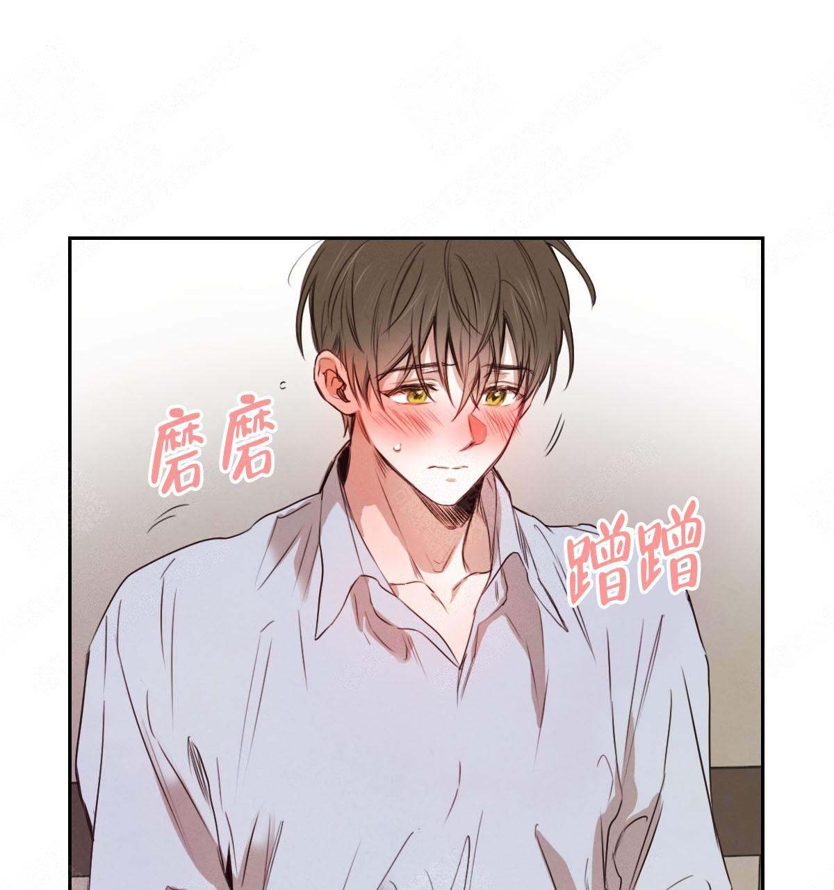 柳树浪漫史原版小说漫画,第13话3图