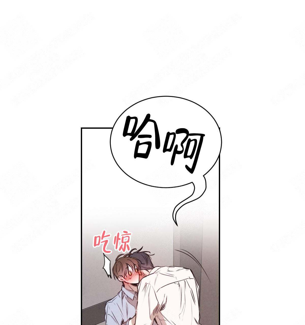 柳树浪漫史原版小说漫画,第13话5图