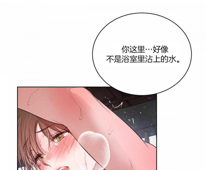 柳树浪漫史漫画,第77话1图