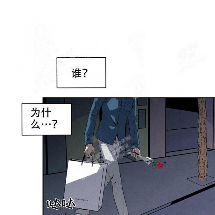 祝你好运里奥格兰德解说漫画,第47话1图