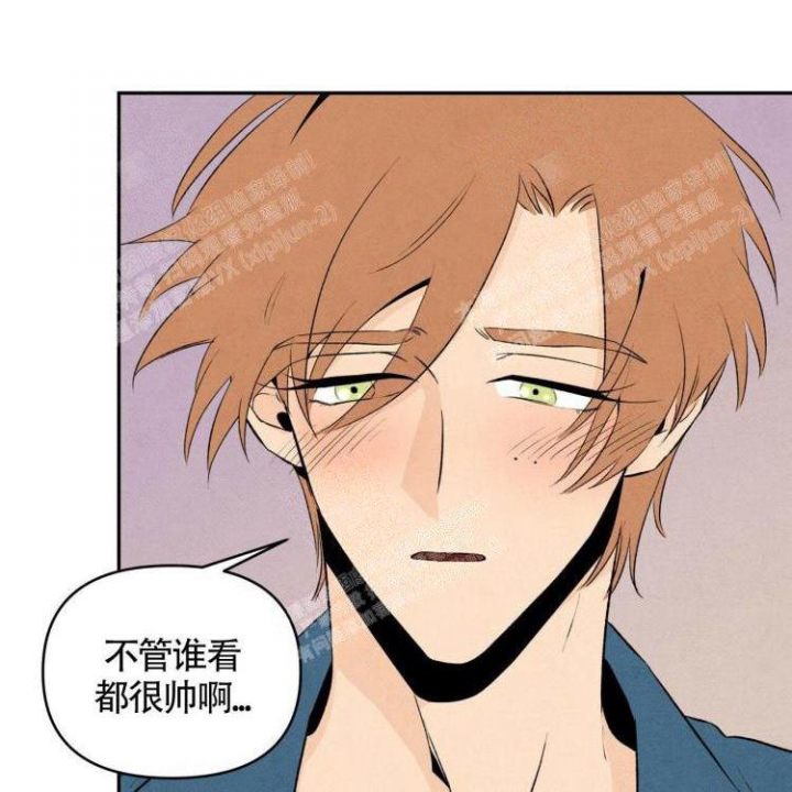 祝你好运里奥格兰德解说漫画,第43话4图