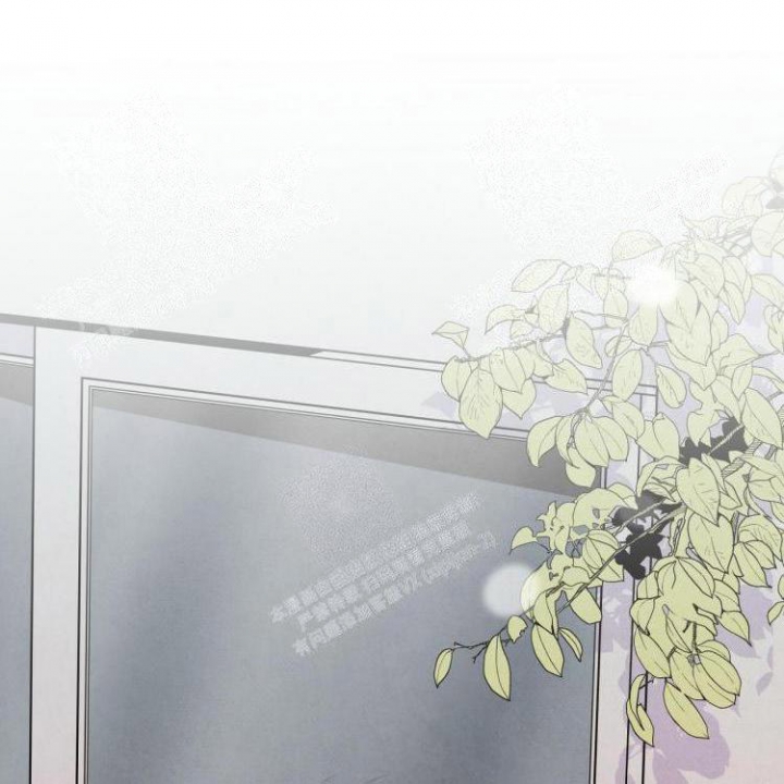 祝你好运里奥格兰德解说漫画,第32话2图