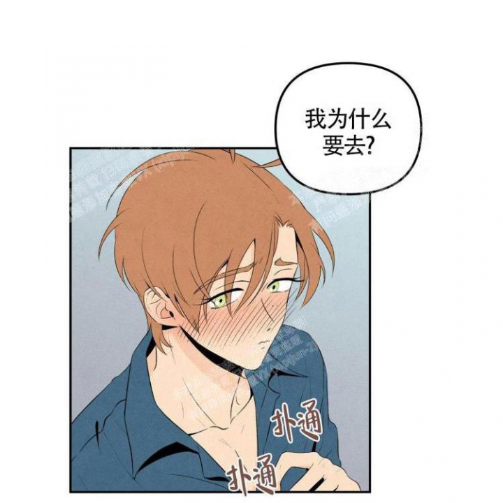 祝你好运发布时间漫画,第39话3图