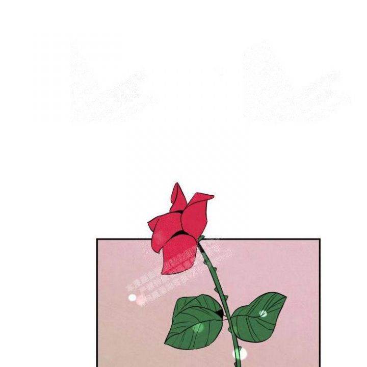 祝你好运的文案漫画,第50话1图