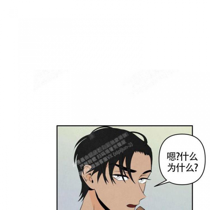 祝你好运里奥格兰德解说漫画,第17话1图