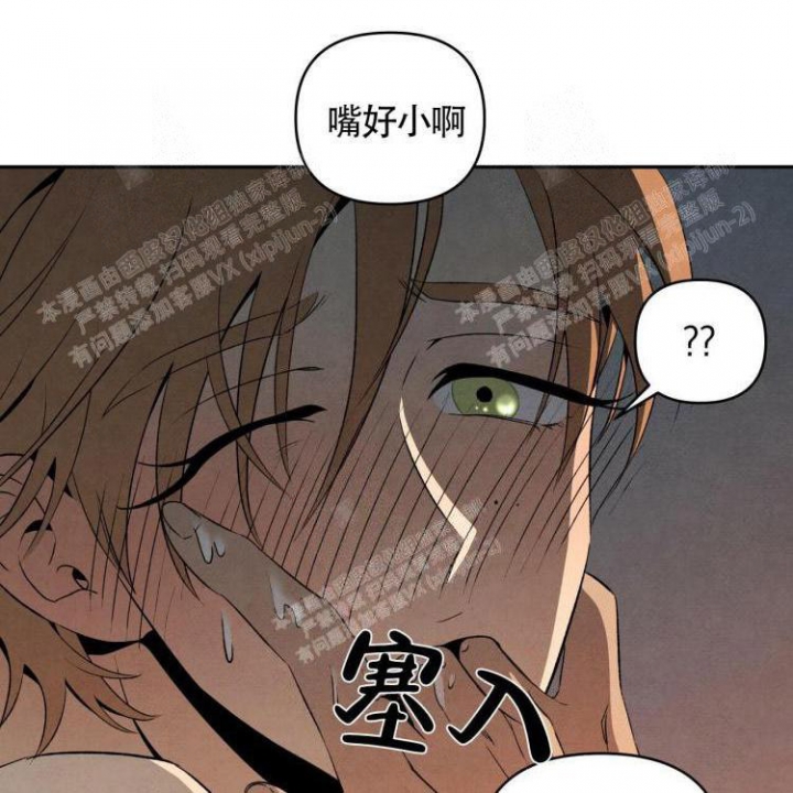 祝你好运的文案漫画,第31话3图