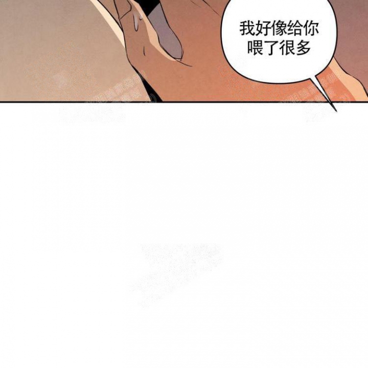 祝你好运的文案漫画,第31话4图