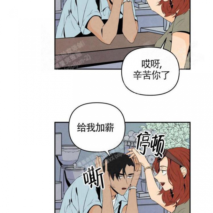 祝你好运的文案漫画,第13话4图