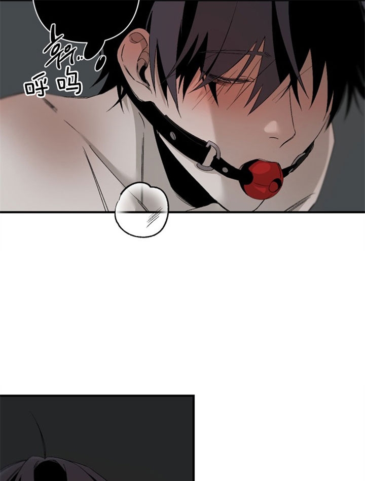 臣服关系（ 第I+II 季）漫画,第138话5图