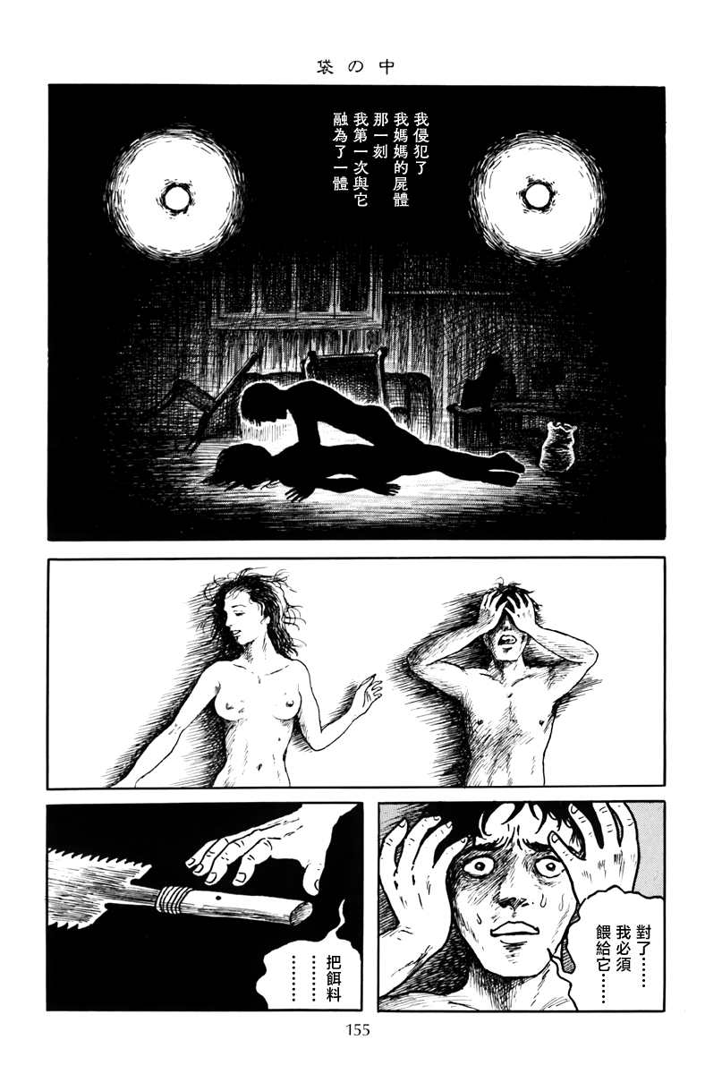 诸星大二郎短篇漫画,袋中黑影3图