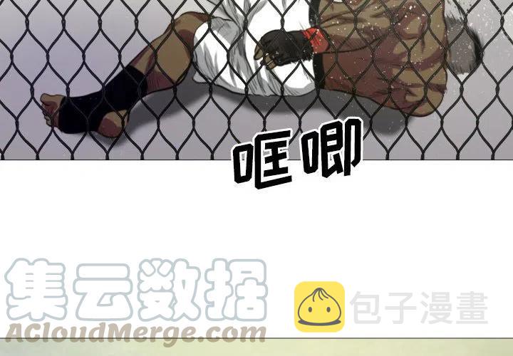 虚拟格斗对战比赛动画漫画,74图