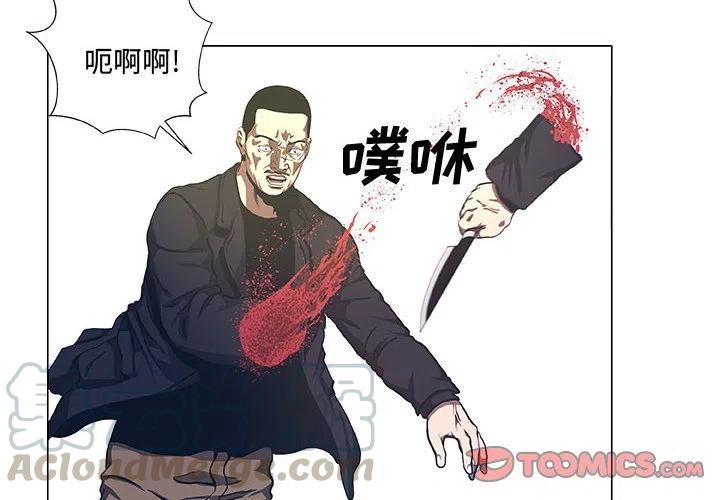 虚拟格斗小说免费阅读漫画,384图